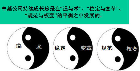 企业文化与战略咨询的融合之道 上海共图实践论